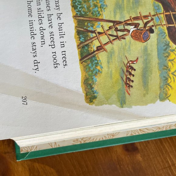 The Little Golden Book Library 'Our Wonderful World' - Picture 6 of 6